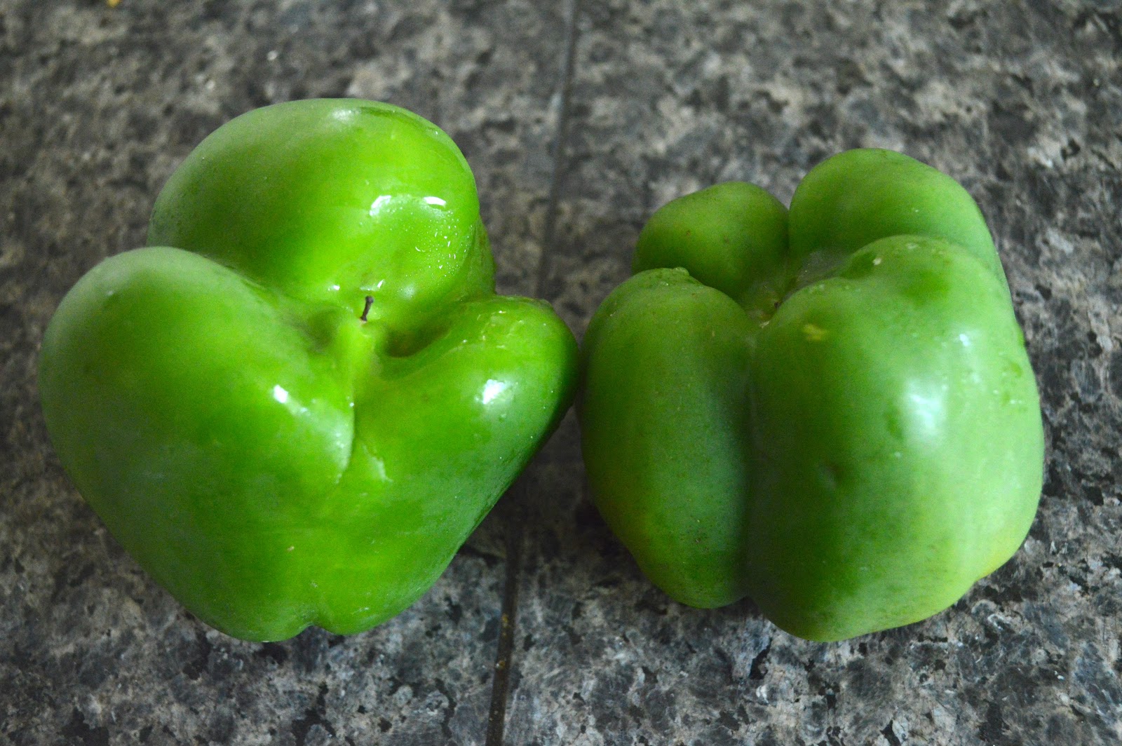 Peppers перламутровые. Male and female Bell Peppers. Green Bell Pepper dish. Pepper Kernels. Bell Pepper and pregnancy.